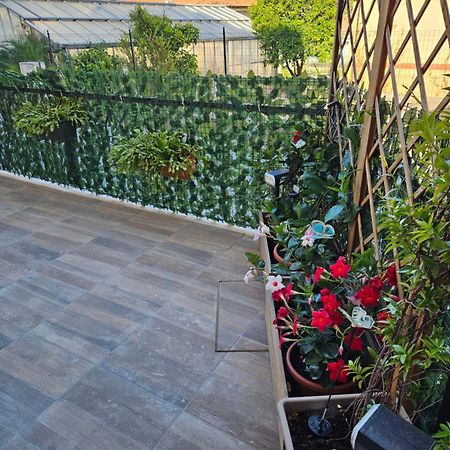 Apartmán La Casa Di Marty , Codice Citra 008059-Lt-0275 Arma di Taggia Exteriér fotografie